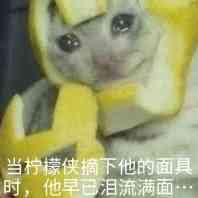 image.jpg 3.jpg