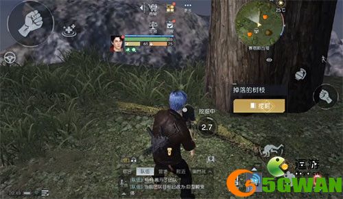 黎明觉醒藏宝图三棵树在什么位置