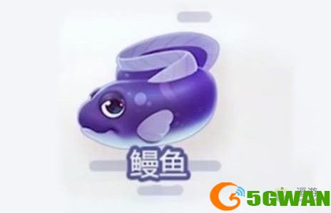摩尔庄园鳗鱼什么时间段可以钓到
