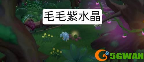 摩尔庄园手游毛毛紫水晶在哪找？毛毛紫水晶位置分布一览图片1