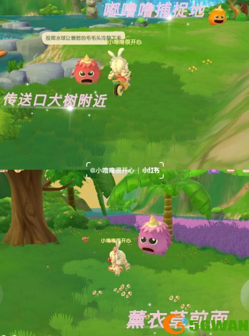 摩尔庄园怎么与拉姆一起玩耍？与拉姆玩耍任务流程攻略图片3