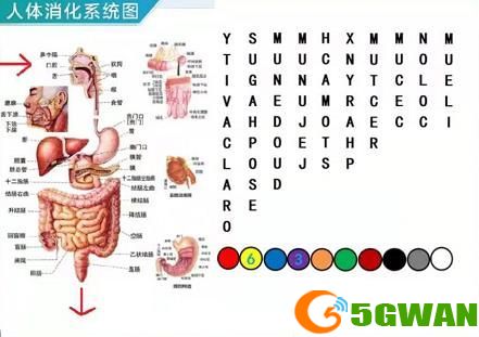 犯罪大师密室逃脱答案是什么？八月赛季竞技赛场密室逃脱答案解析图片3