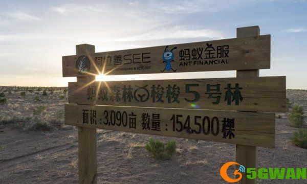 支付宝车辆停驶怎么没有了？车辆停驶没有了原因解析[多图]图片1