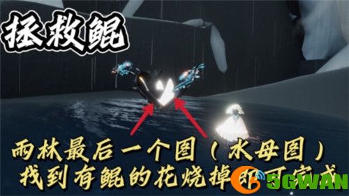 光遇11.29每日任务完成攻略2021