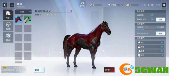 诺亚之心育马系统玩法介绍