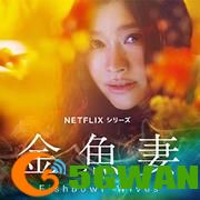 金鱼妻电视剧完整版在线观看 金鱼妻日剧在线观看地址
