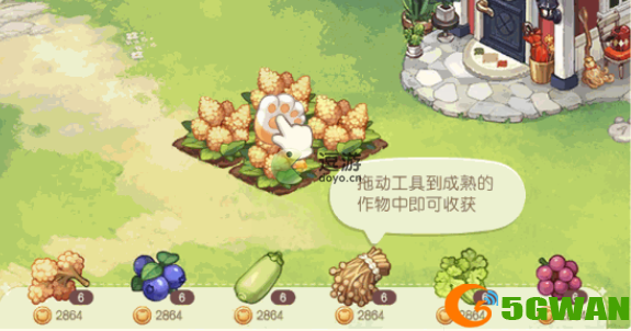 奥比岛梦想国度藜麦怎么种植和收获