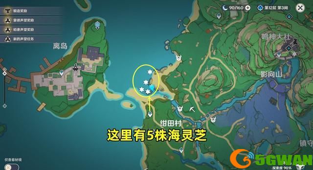 原神海灵芝分布图一览 2.8海灵芝采集点路线图分享[多图]图片3