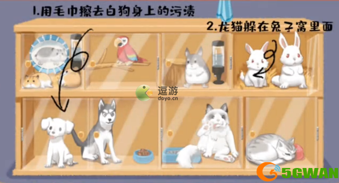 超级收纳馆第3关阿猫阿狗通关攻略