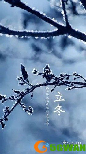 手游巴士10