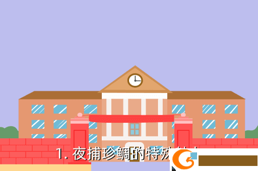 1. 夜捕珍鲷的特殊魅力