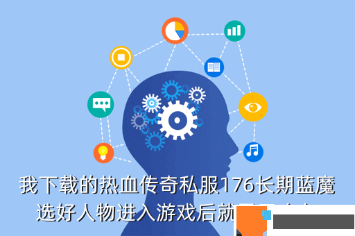 我下载的热血传奇私服176长期蓝魔选好人物进入游戏后就黑屏咋办