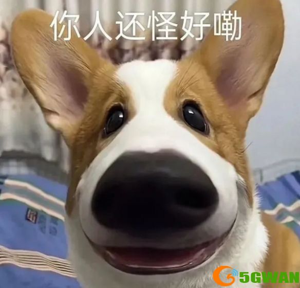 手游巴士3