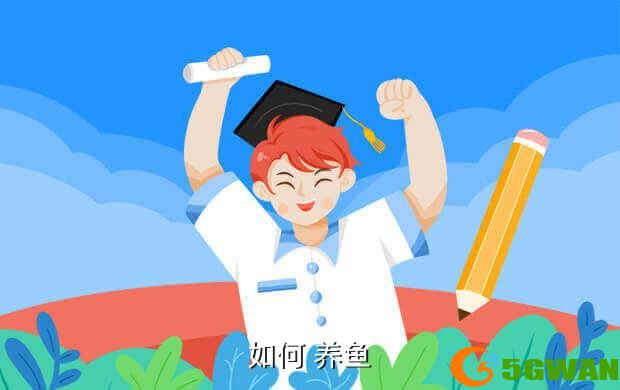 如何 养鱼