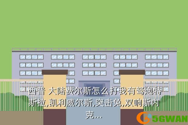  西普 大陆费尔斯怎么打我有驽炮特斯拉,凯利威尔斯,突击兔,双响斯内克...