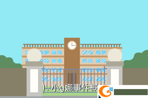 1. 小g娜事件概述
