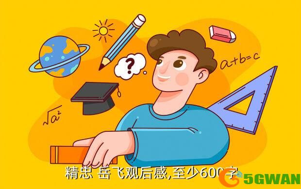  精忠 岳飞观后感,至少600字