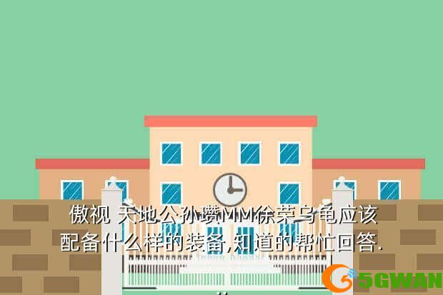  傲视 天地公孙瓒MM徐荣乌龟应该配备什么样的装备,知道的帮忙回答...