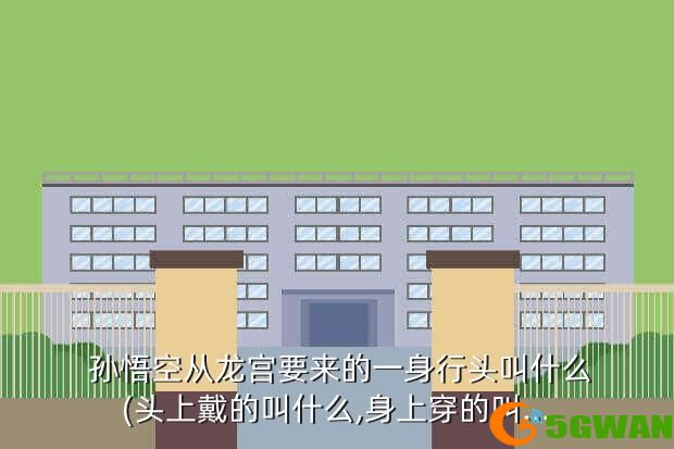  孙悟空从龙宫要来的一身行头叫什么(头上戴的叫什么,身上穿的叫...