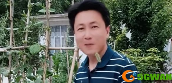 手游巴士2