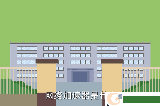 网络加速器是什么