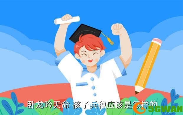  卧龙吟天命 孩子兵种应该是怎样的