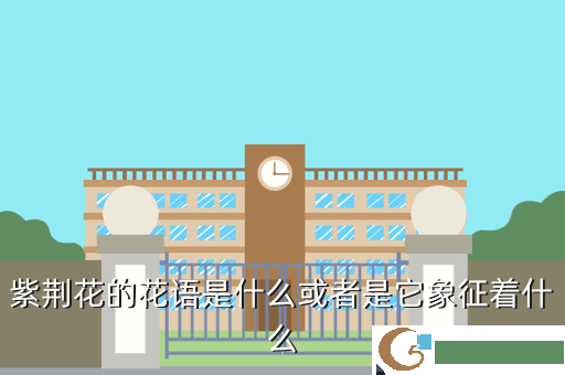 紫荆花的花语是什么或者是它象征着什么