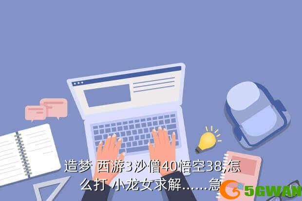  造梦 西游3沙僧40悟空38,怎么打 小龙女求解……急