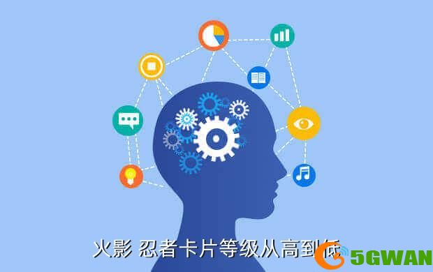火影 忍者卡片等级从高到低