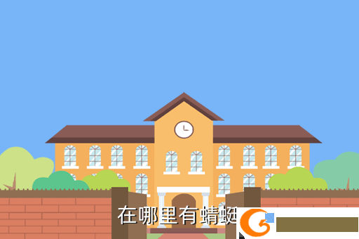 在哪里有蜻蜓