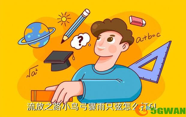 流放之路小鸟弓骤雨只弦怎么打6L