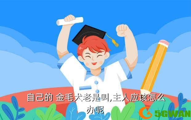 自己的 金毛犬老是叫,主人应该怎么办呢