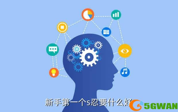 新手第一个s忍要什么好