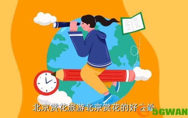北京赏花旅游北京赏花的好去处