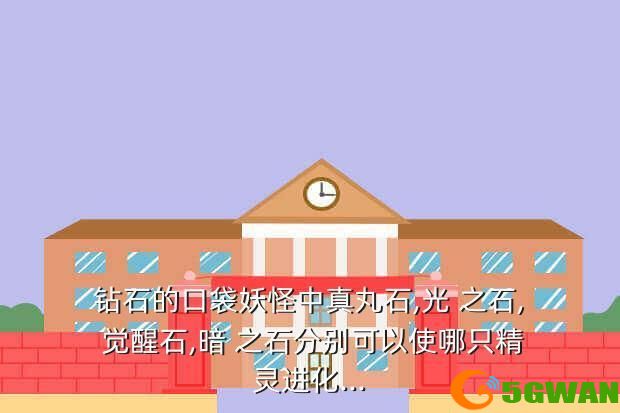 钻石的口袋妖怪中真丸石,光 之石, 觉醒石,暗 之石分别可以使哪只精灵进化...