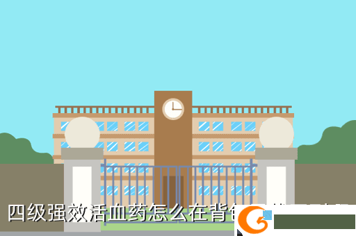 四级强效活血药怎么在背包里找不到啊