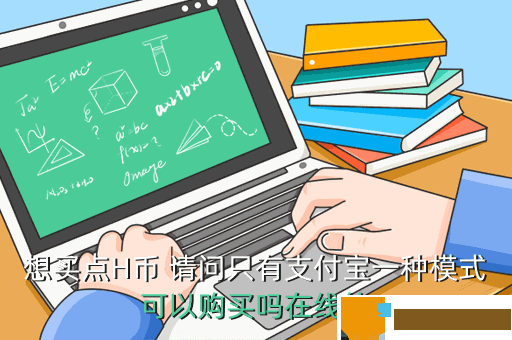 想买点H币 请问只有支付宝一种模式可以购买吗在线等