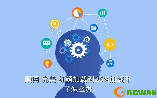 顺网 完美 红颜加载到25%加载不了怎么办