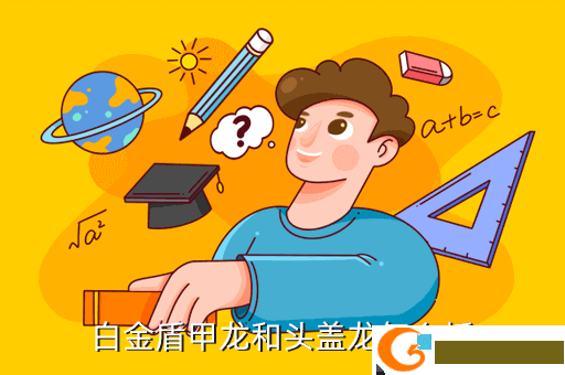 白金盾甲龙和头盖龙怎么抓