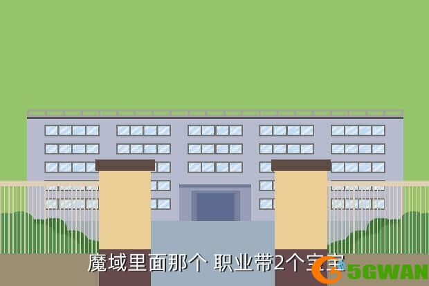  魔域里面那个 职业带2个宝宝