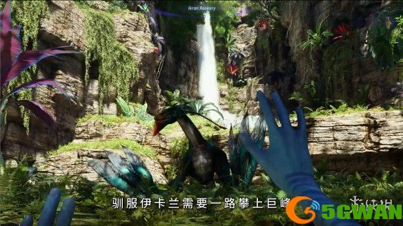 游侠网5