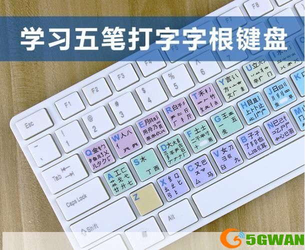 2012年王码五笔输入法的使用方法详解