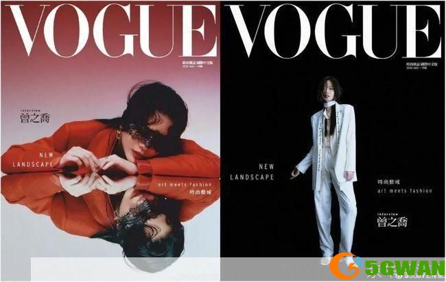 Vogue安装指南：一步步教你如何安装和使用