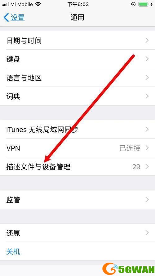 详细步骤指南：如何在iOS设备上安装迅雷