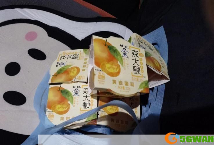 旺旺怎么安装: 旺旺安装教程：一步步教你如何安装和使用
