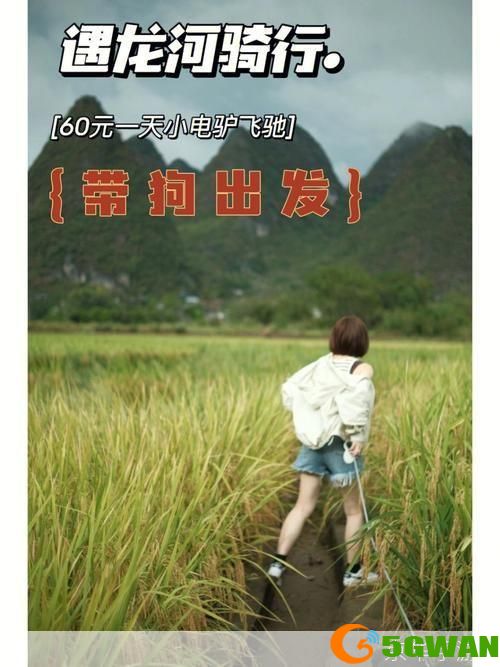 电驴基地的使用方法详解