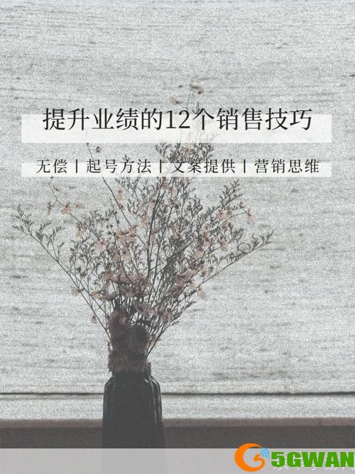 视频广告的运用策略：如何有效提升品牌知名度和销售业绩