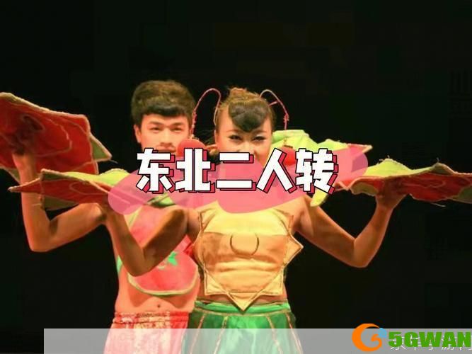 二人转怎么安装: 二人转安装指南：一步步教你如何安装和使用