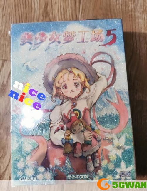 美少女梦工厂5安装指南
