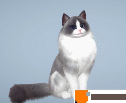 图2.gif